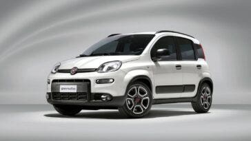 fiat panda