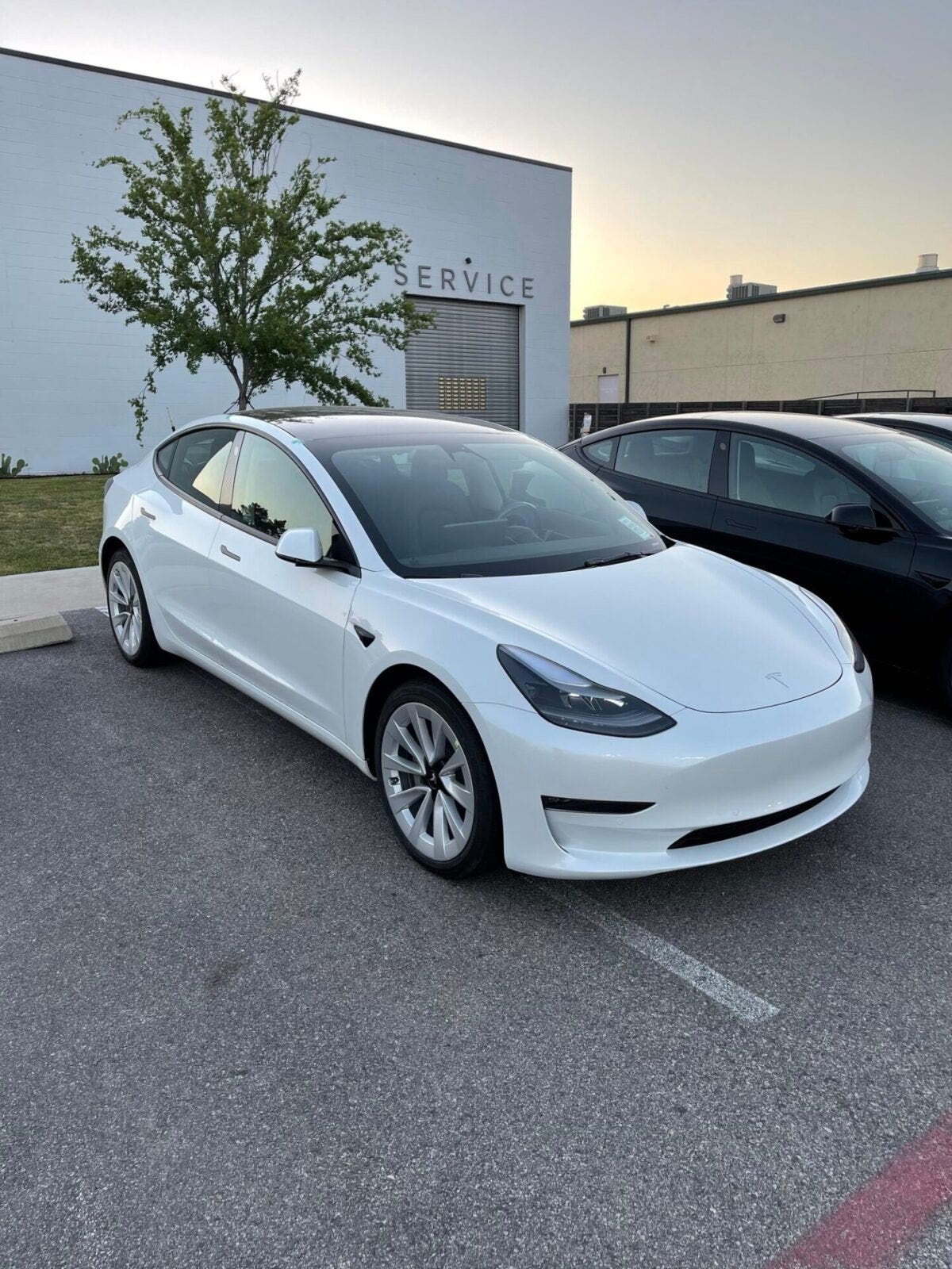 Tesla