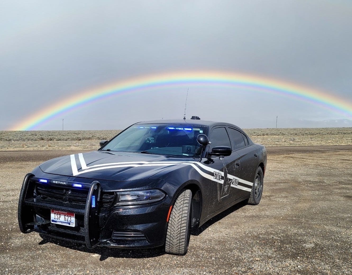 Polizia elettrico Dodge