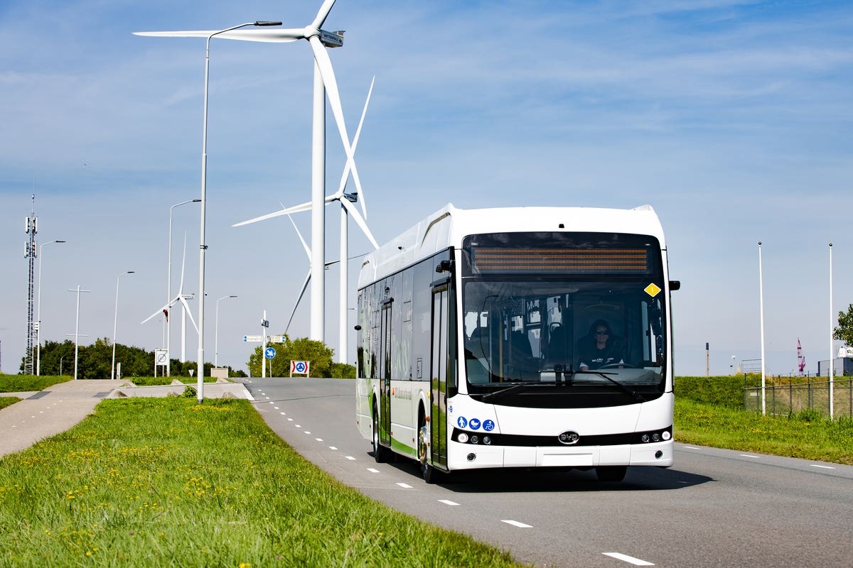 BYD novità IAA Transportation 2022