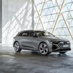 Audi Q8 e-tron 2023