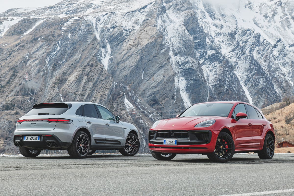 Macan