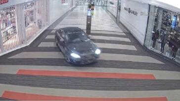 Audi furto