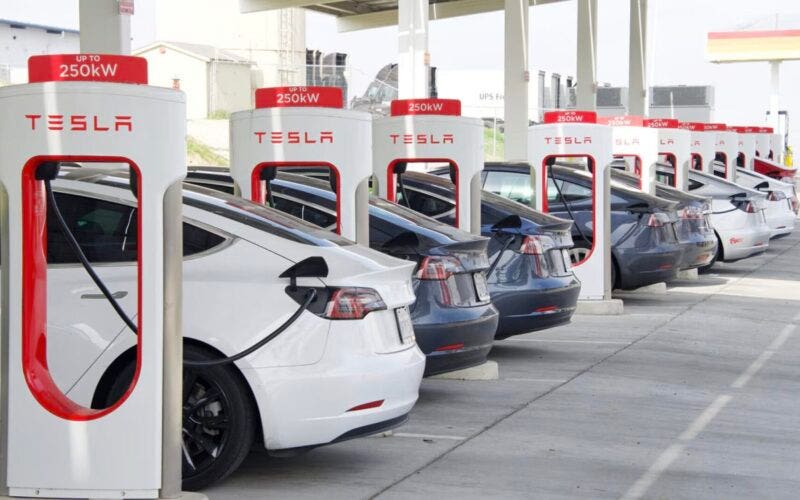 Musk licenzia