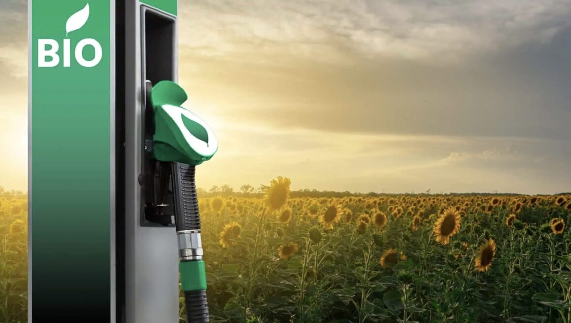 Biocarburanti auto in Brasile