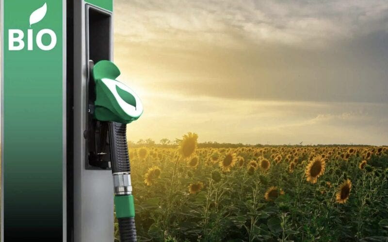 Biocarburanti auto in Brasile