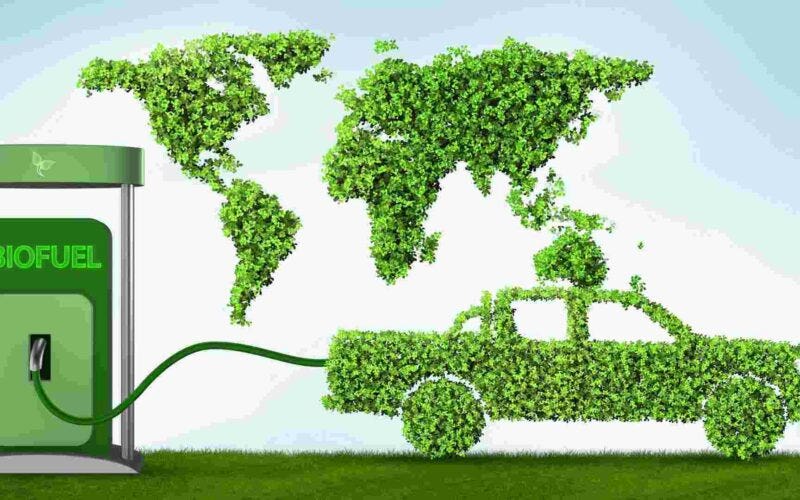 bio fuels