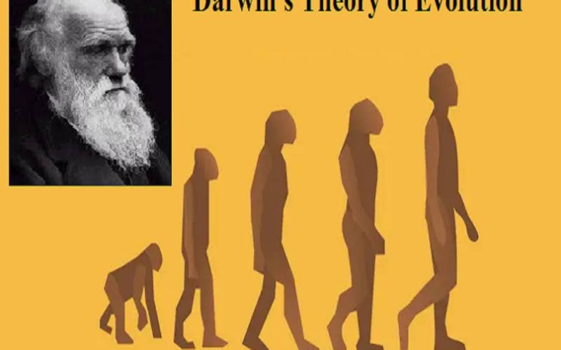 Darwins-Theory-of-Evolution
