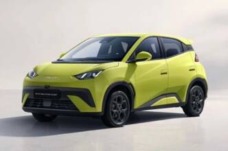 BYD Dolphin Surf