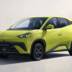 BYD Dolphin Surf