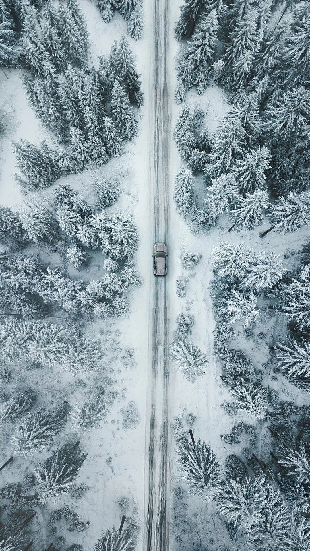 Toyota RAV4 2025 teaser