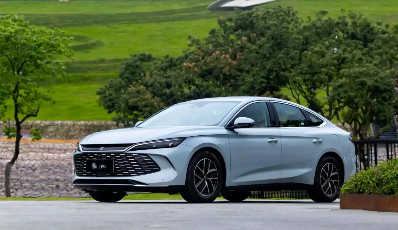 byd qin L-DM