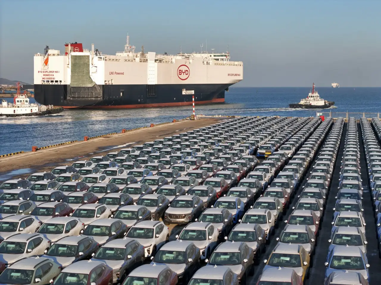 BYD cargo