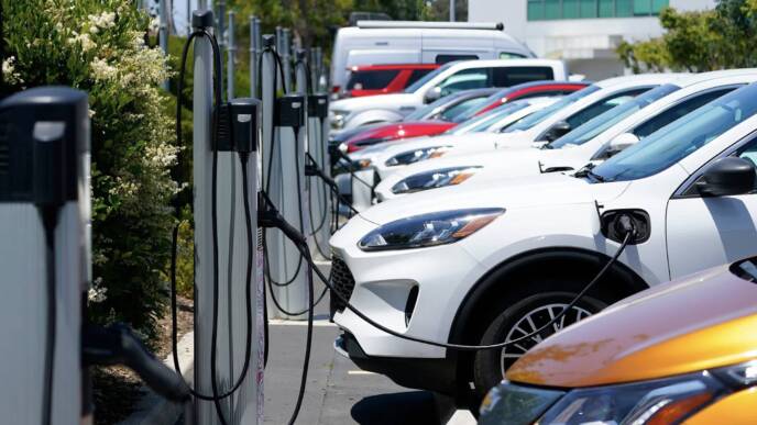auto elettrica california