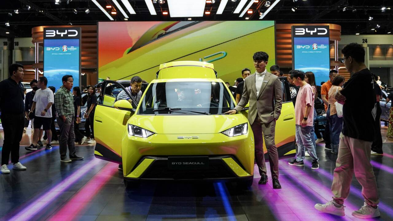 byd dolphin surf
