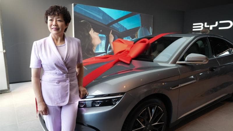 byd stella li
