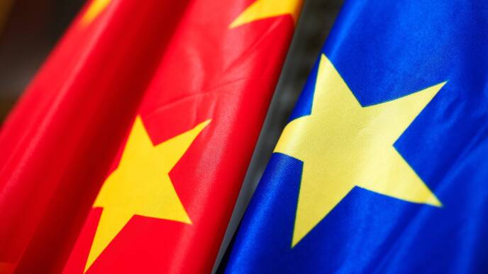 cina ue terre rare