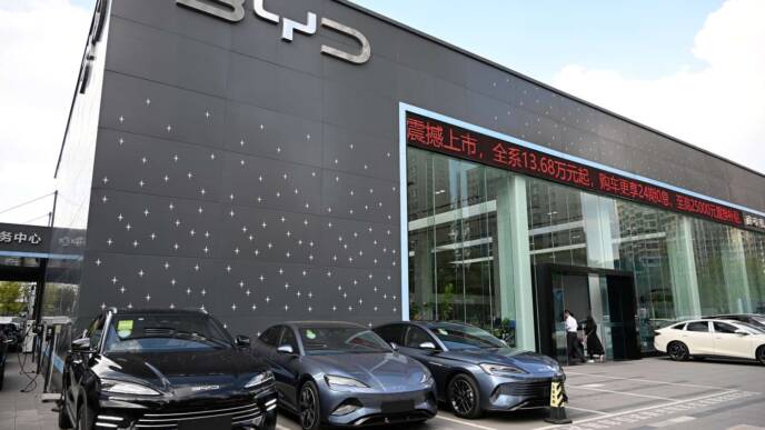 venditori auto cinesi byd