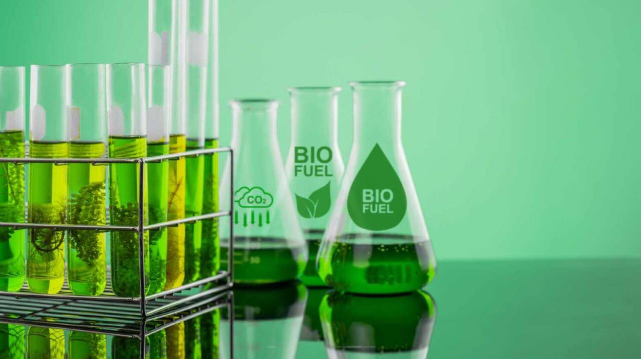 biocarburanti