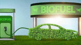L’organizzazione green Transport & Environment mette nel mirino la bioraffineria Eni di Livorno e l’Italia, che insiste per il biocarburante auto.
