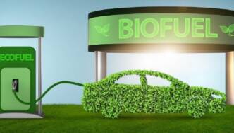 L’organizzazione green Transport & Environment mette nel mirino la bioraffineria Eni di Livorno e l’Italia, che insiste per il biocarburante auto.