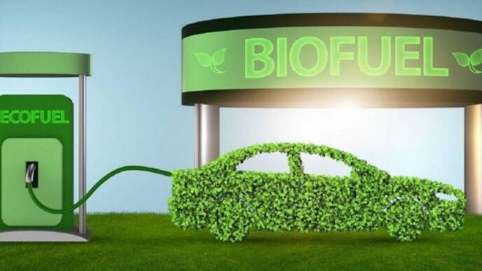L’organizzazione green Transport & Environment mette nel mirino la bioraffineria Eni di Livorno e l’Italia, che insiste per il biocarburante auto.