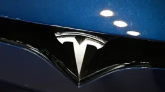 tesla badge