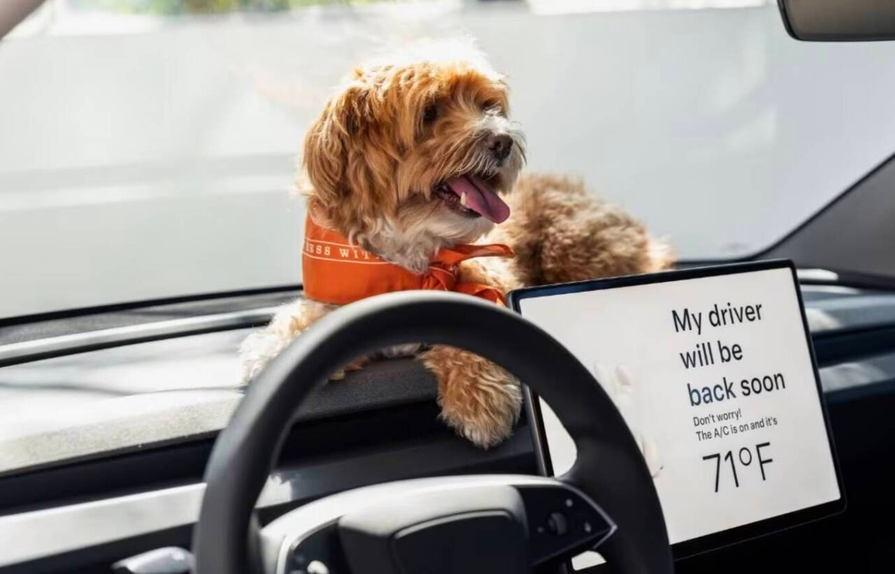 Tesla Model 3 Standard dentro