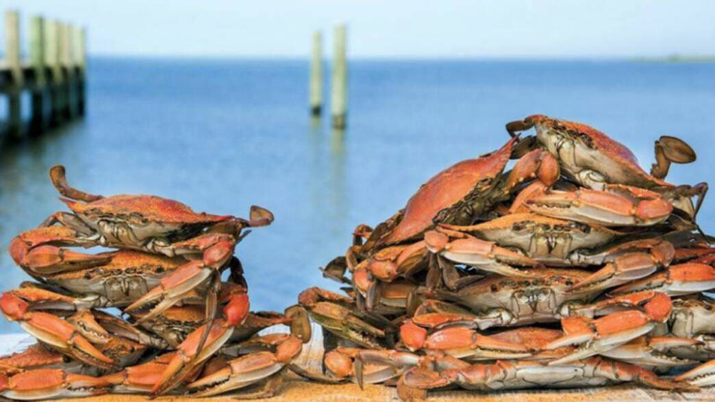 crostacei per le batterie