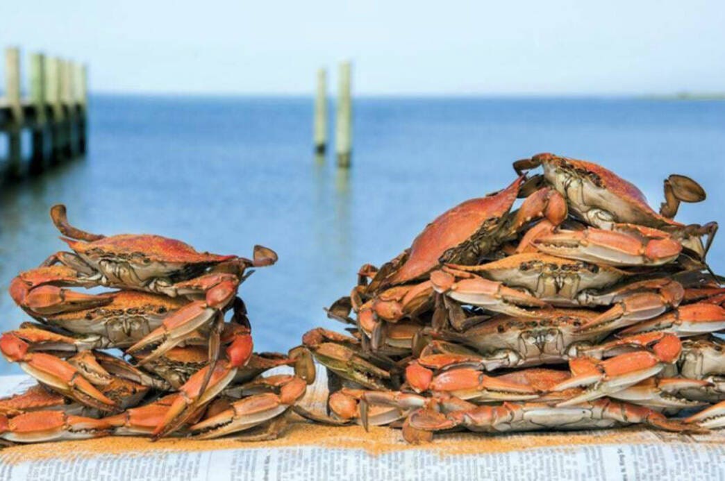 crostacei per le batterie