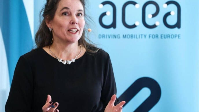 Sigrid de Vries, acea