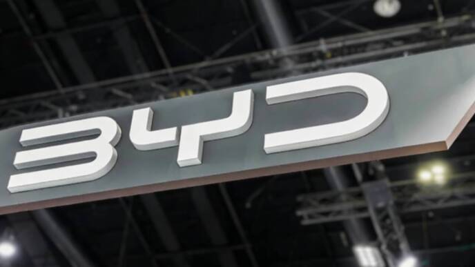 byd caricatore 1500 kw