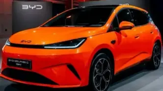 BYD Dolphin G DM-i