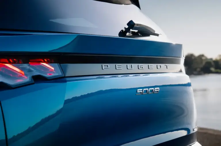 Richiamo per Peugeot, Citroën e DS: un bug ti può chiudere in macchina