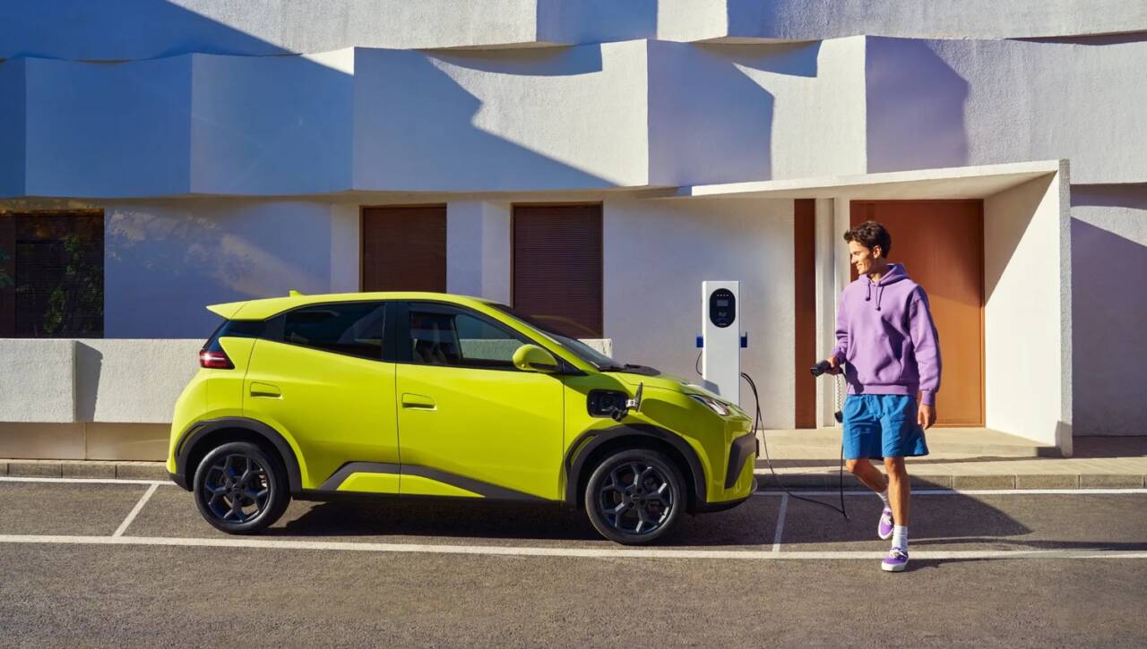 BYD Dolphin Surf