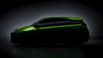 BYD Dolphin Surf - seagull