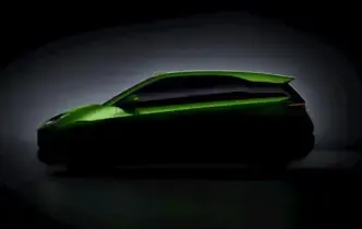 BYD Dolphin Surf - seagull