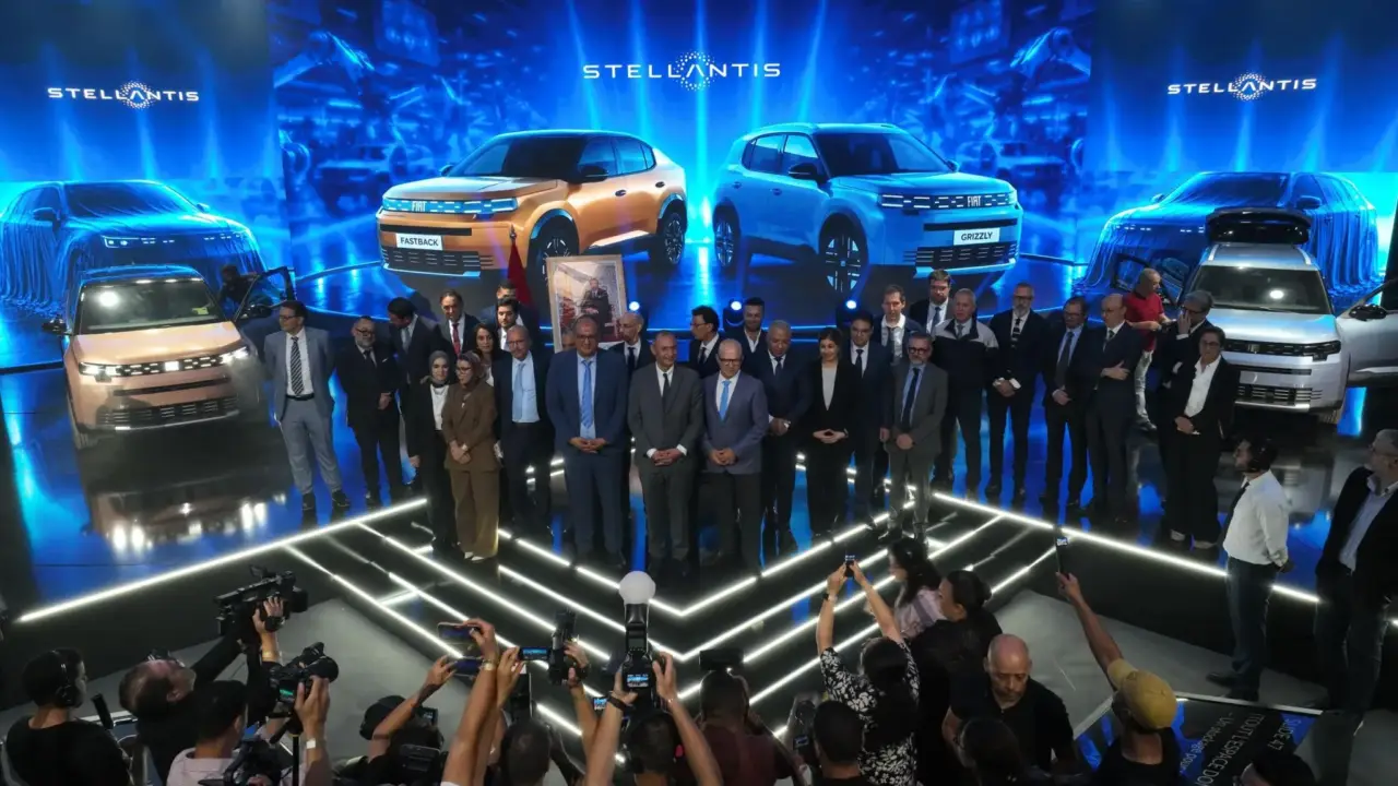 Fiat Grizzly - Grizzly Fastback, kenitra