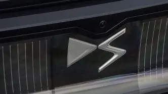 ds n 7 badge