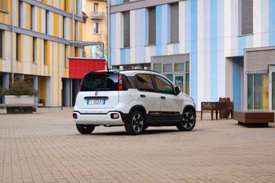Fiat Panda pandina